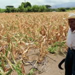 SEQUÍA EN GUATEMALA