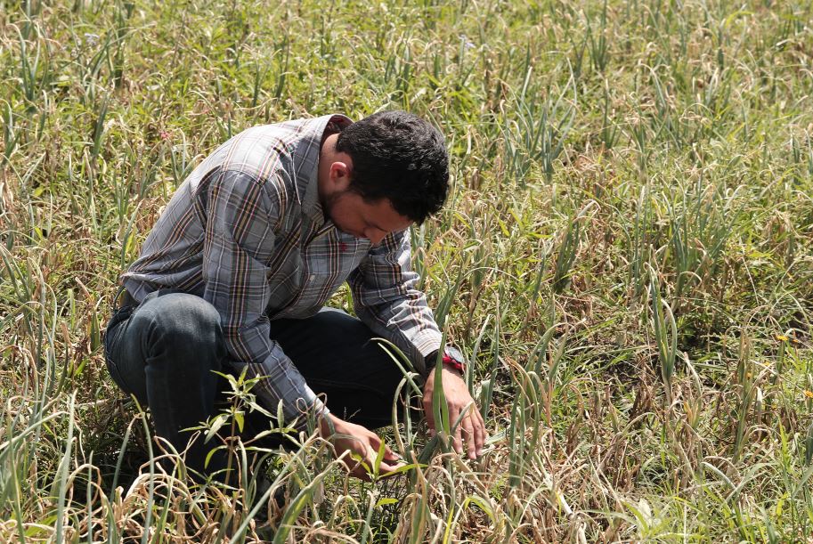 Según la Conred, las mayores preocupaciones por la prolongación de la sequía se concentran en enero, febrero y marzo del 2027, debido a que el fenómeno de El Niño podría presentarse en septiembre de este año. (Foto Prensa Libre: Hemeroteca PL) 