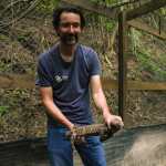 Thomas Schrei sostiene una de las hembras de lagarto escorpión que forma parte del programa de reproducción impulsado para aumentar la población de esta especie endémica y evitar su desaparición en Guatemala. (Foto, Prensa Libre: cortesía Fundesgua)