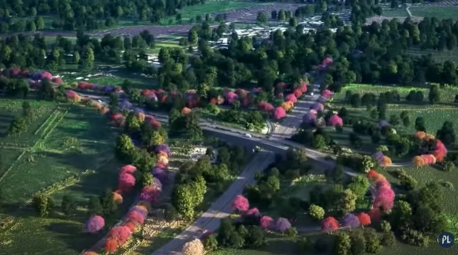 La autopista privada Xochi, Corredor de las Flores, abrirá al público a partir del 14 de junio. Contará con 23 puentes y, según los desarrolladores del proyecto, a lo largo de la carretera se plantarán árboles de palo blanco y jacaranda. (Foto, Prensa Libre: archivo)
