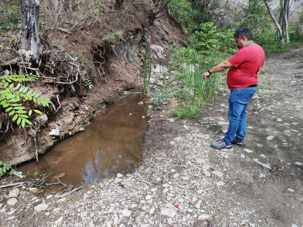 Un delegado señala ejemplares de sapo amarillo (Incilius luetkenii) en una charca de Río Hondo, Zacapa, tras las primeras lluvias de la temporada.