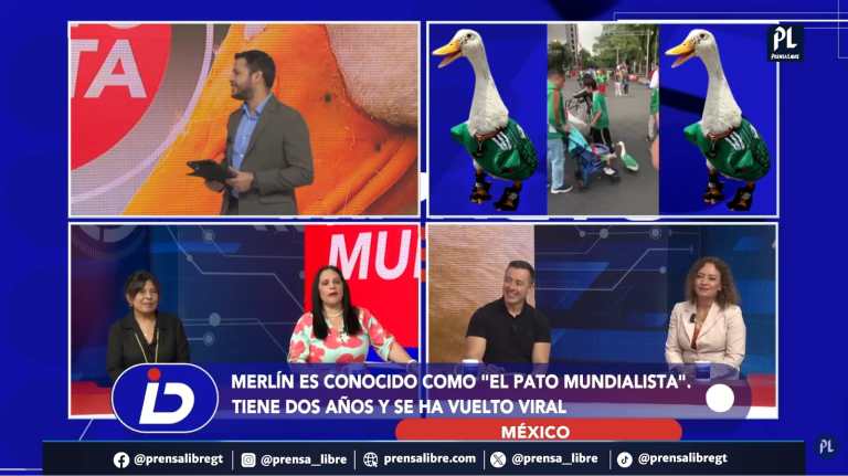 “Este no es patito feo, es un patito lindo”: El pato Merlín conquista corazones en el Mundial 2