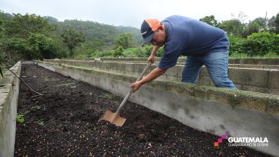 Guatemalan Producers Seek Alternatives Amid Soaring Fertilizer Costs