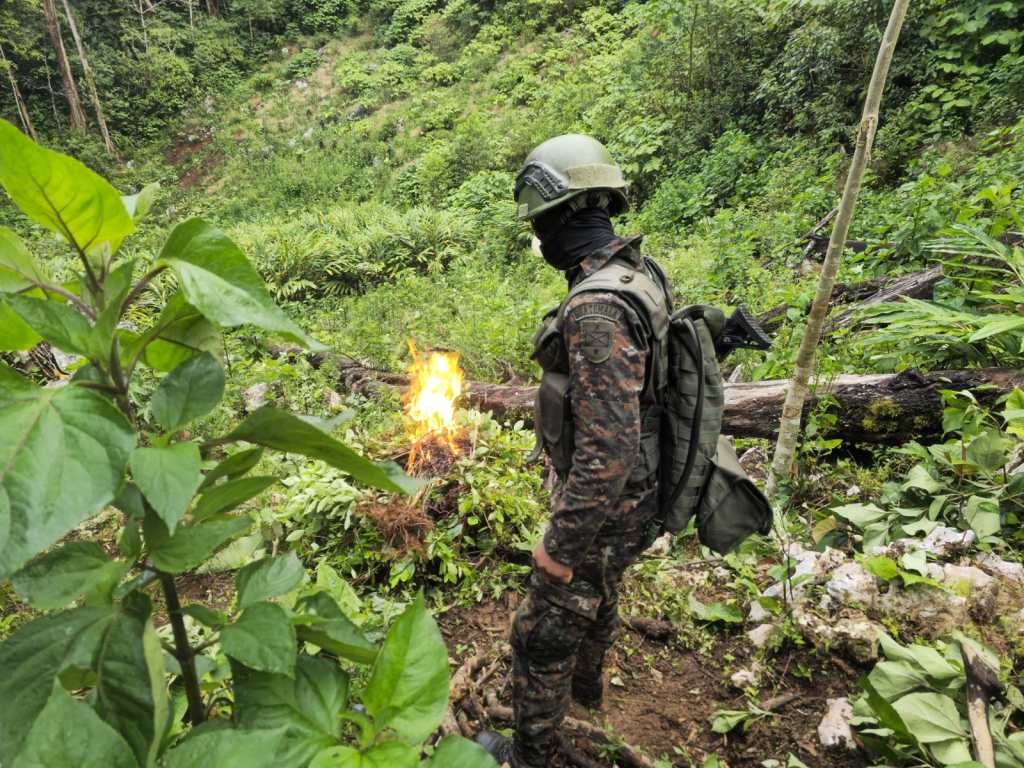 Soldado observa la incineración de una plantación de coca localizada durante un operativo antinarcótico en Guatemala.