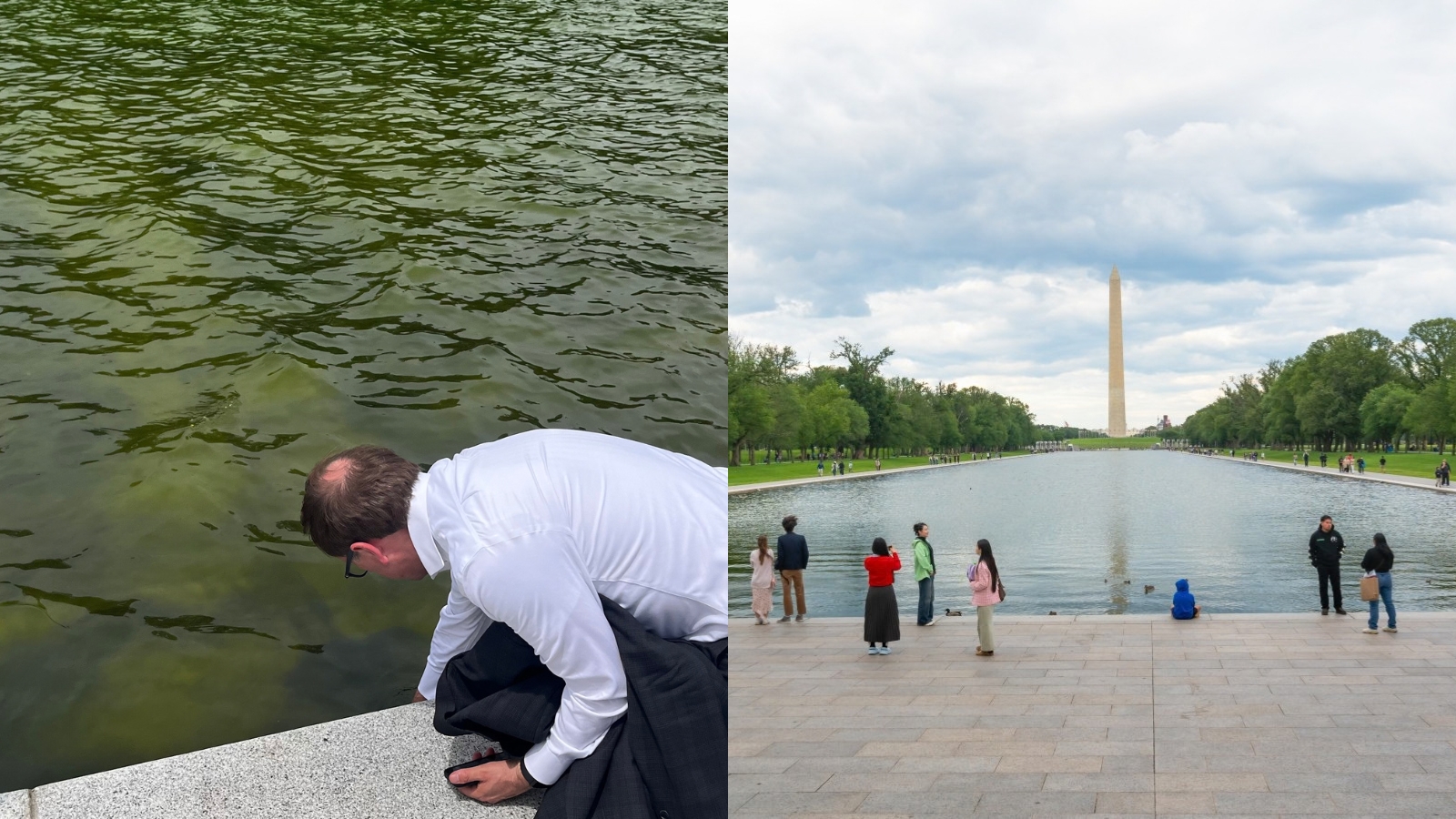El estanque frente al Monumento a Lincoln volvió a teñirse de verde pocos días después de una renovación de más de US$14 millones que buscaba eliminar algas, sellar filtraciones y darle un tono “azul bandera estadounidense”.