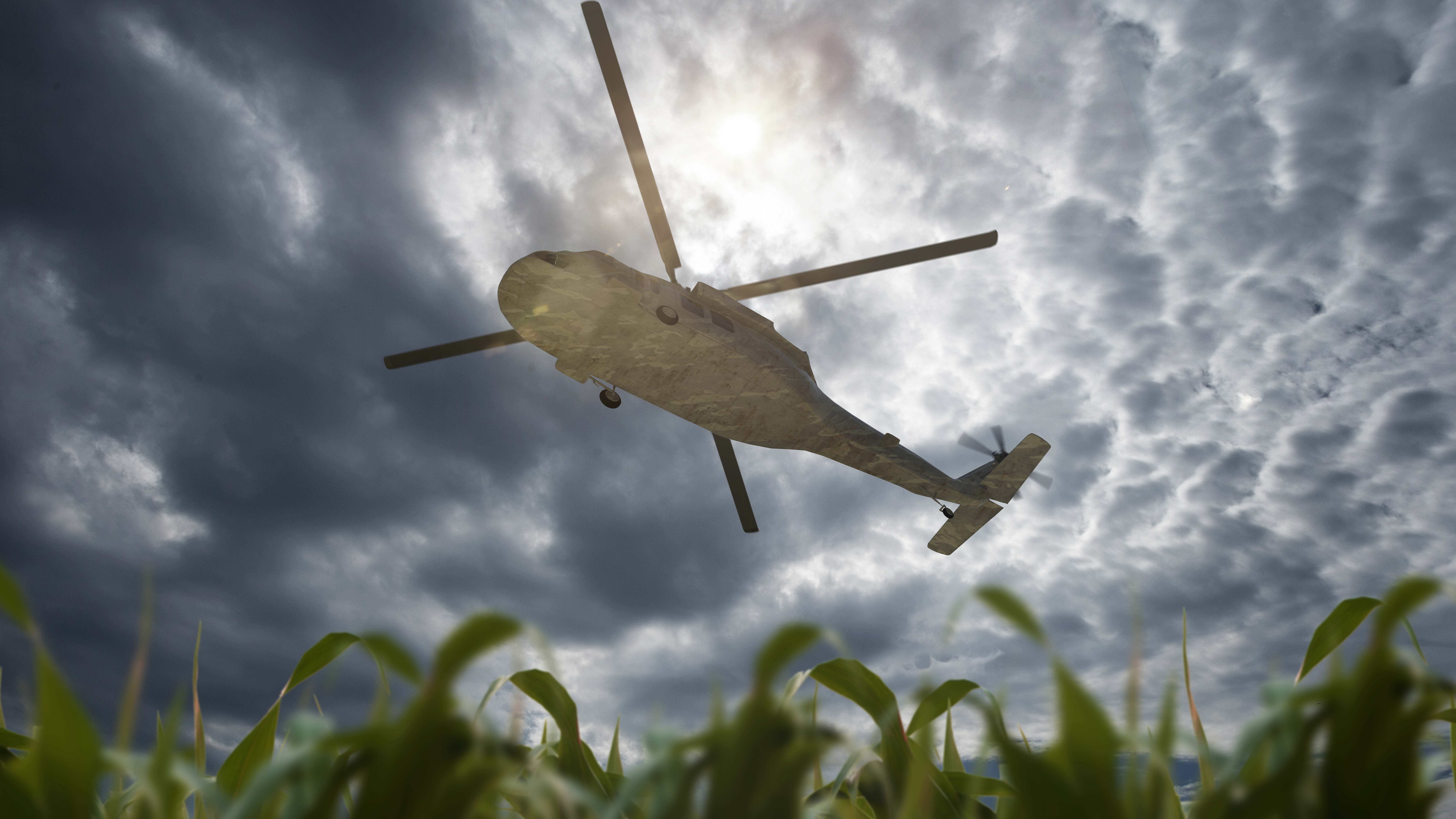 Quiénes eran las cuatro celebridades que murieron en el choque de dos helicópteros en Brasil