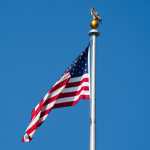 Un halcón se posa sobre un mástil de la bandera estadounidense en Washington.
