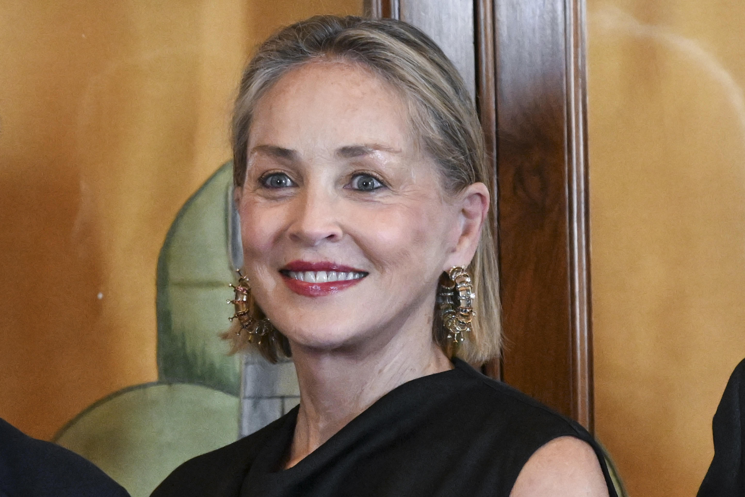 Sharon Stone recuerda el derrame cerebral que casi le cuesta la vida y relata las visiones que tuvo durante su recuperación: “Se me presentaron y me hablaron”