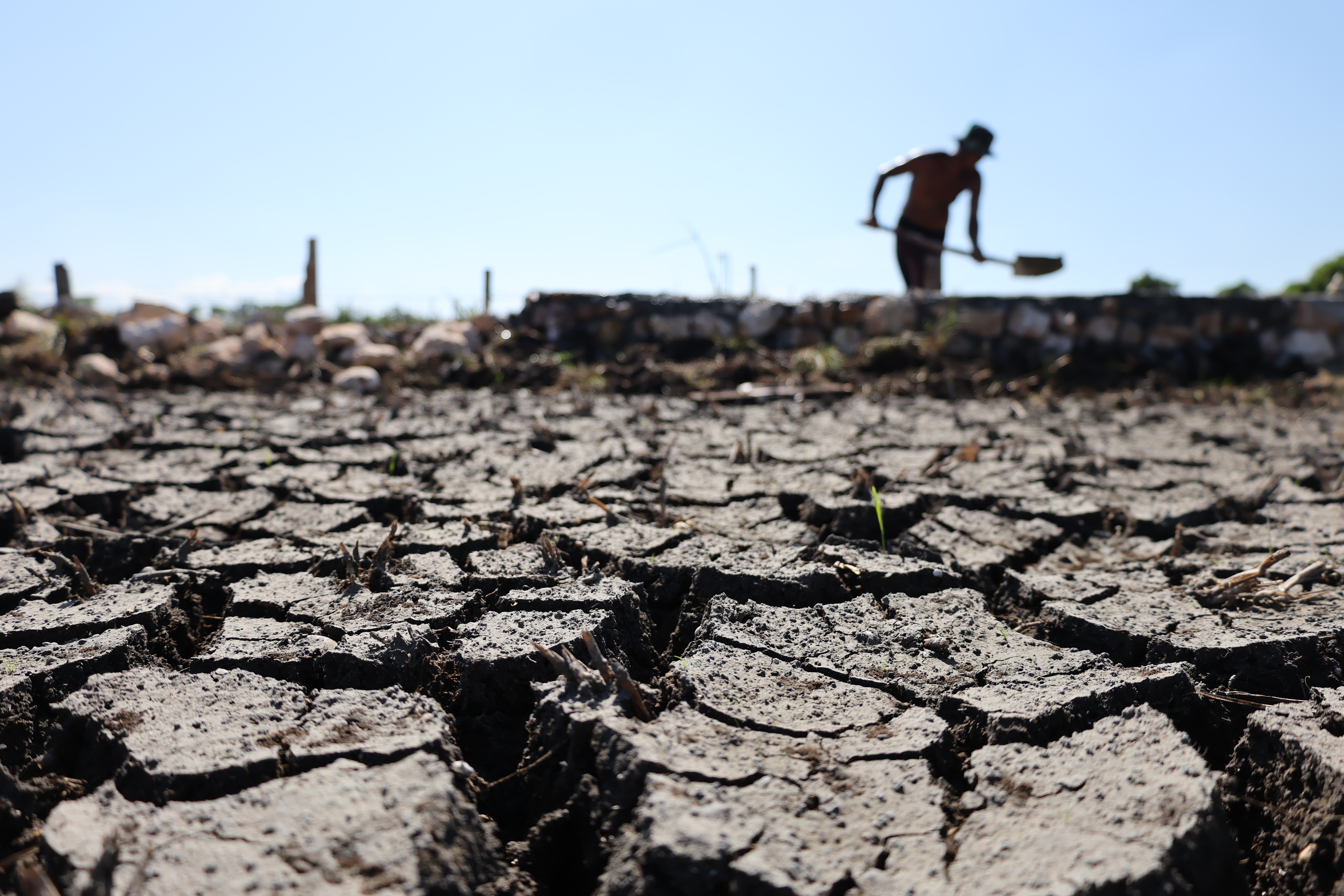 FOTODELDÍA ACEH BESAR (Indonesia), 23/07/2026.- Los campos de arroz agrietados por la prolongada sequía han provocado pérdidas a los agricultores de la zona de Aceh Besar, Indonesia. La Estación Meteorológica de Aceh (BMKG) emitió una alerta pública indicando que la mayor parte de la provincia de Aceh y otras regiones de Indonesia han entrado en la estación seca, y se espera que el fenómeno de El Niño alcance una fuerte intensidad hasta enero de 2027. EFE/ Hotli Simanjuntak