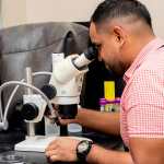 Fotografía cedida por Vanessa Olarte que muestra a una persona observando en un microscopio larvas de moscas en las instalaciones de la Comisión Panamá-Estados Unidos para la Erradicación y Prevención del Gusano Barrenador del Ganado (COPEG). EFE/ FAO/ Vanessa Olarte SOLO USO EDITORIAL/ NO VENTAS/ SOLO DISPONIBLE PARA ILUSTRAR LA NOTICIA QUE ACOMPAÑA (CRÉDITO OBLIGATORIO)