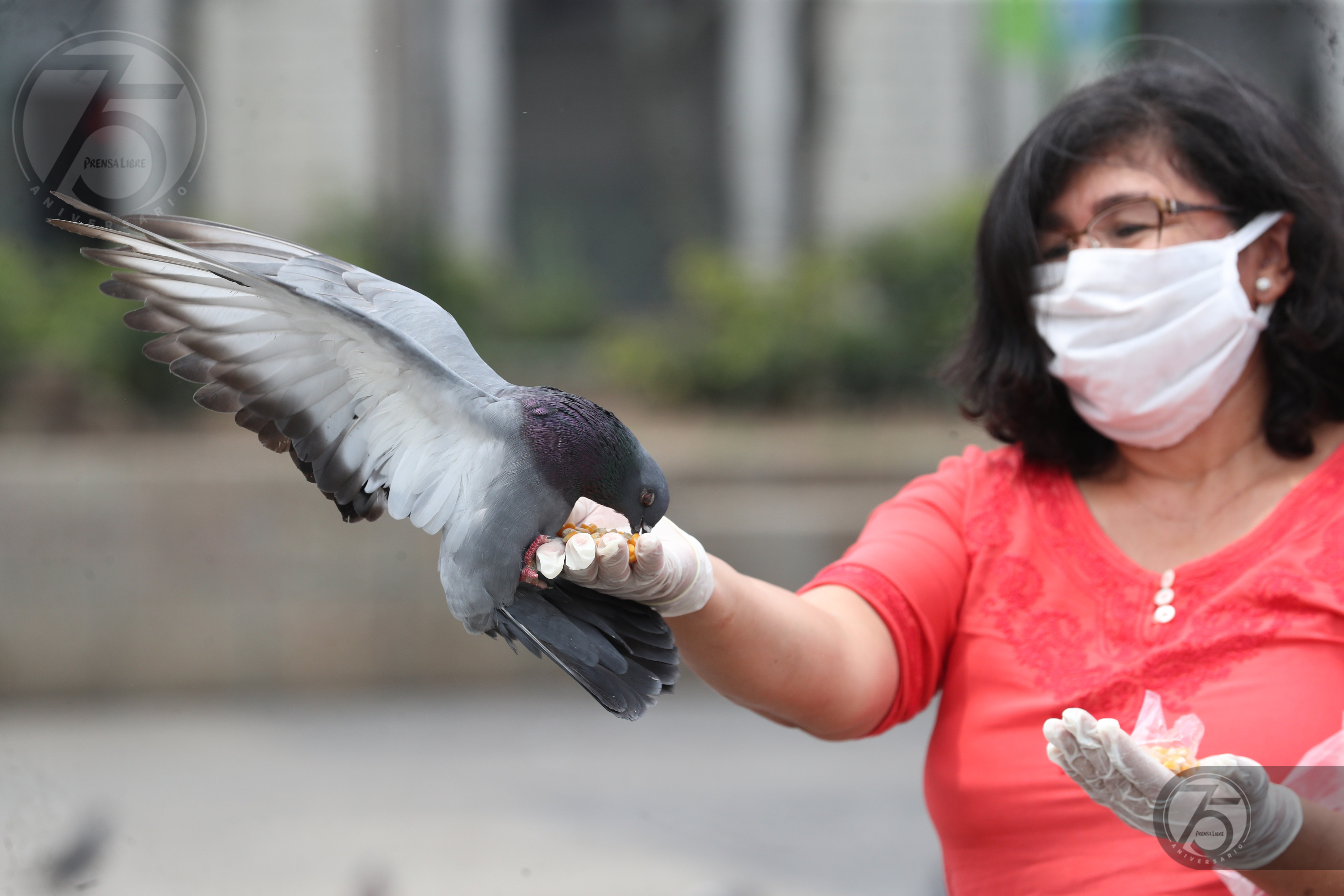 Pandemia del coronavirus en Guatemala'