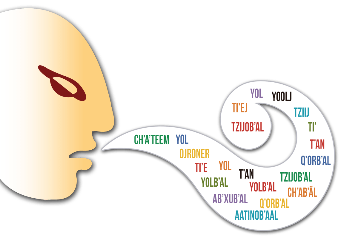 Entre-el-aula-y-las-redes-sociales-oportunidades-para-fortalecer-los-22-idiomas-mayas-de-Guatemala.png