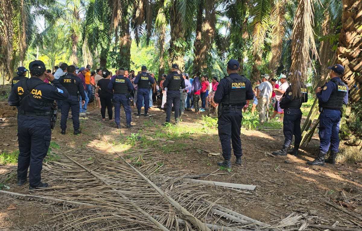 Los delitos de falsedad material, falsedad ideológica y usurpación agravada encabezan las denuncias entre el 2025 y lo que va del 2026, con una tendencia al alza, según el Observatorio de Derechos de Propiedad. (Foto Prensa Libre: Cortesía)