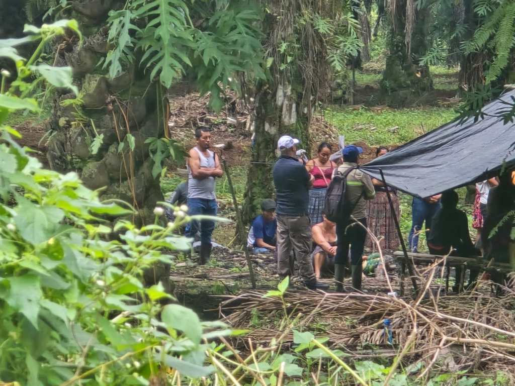 Guatemala concentra el 42.5% de las denuncias por delitos contra la propiedad, con 3,799 casos, lo que equivale a cerca de cinco de cada 10 denuncias registradas. El 57.5% restante se distribuye en el resto del país. (Foto Prensa Libre: Cortesía)