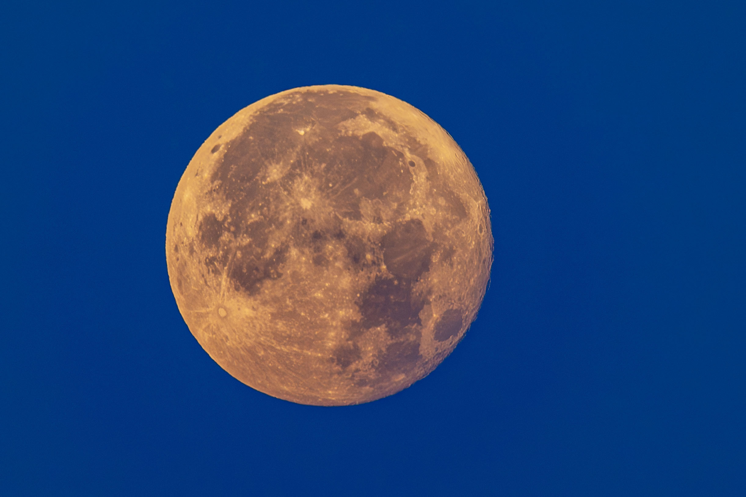 ¿A qué hora ver la Luna de Ciervo 2026? Conozca el mejor momento para observarla el 29 de julio