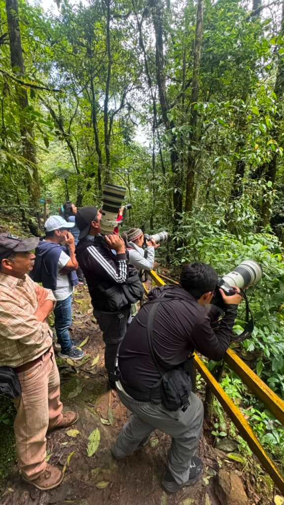 CRONICA QUETZALES