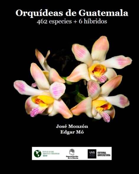 Los libros de autores guatemaltecos más vendidos en Filgua 2026: conozca los títulos