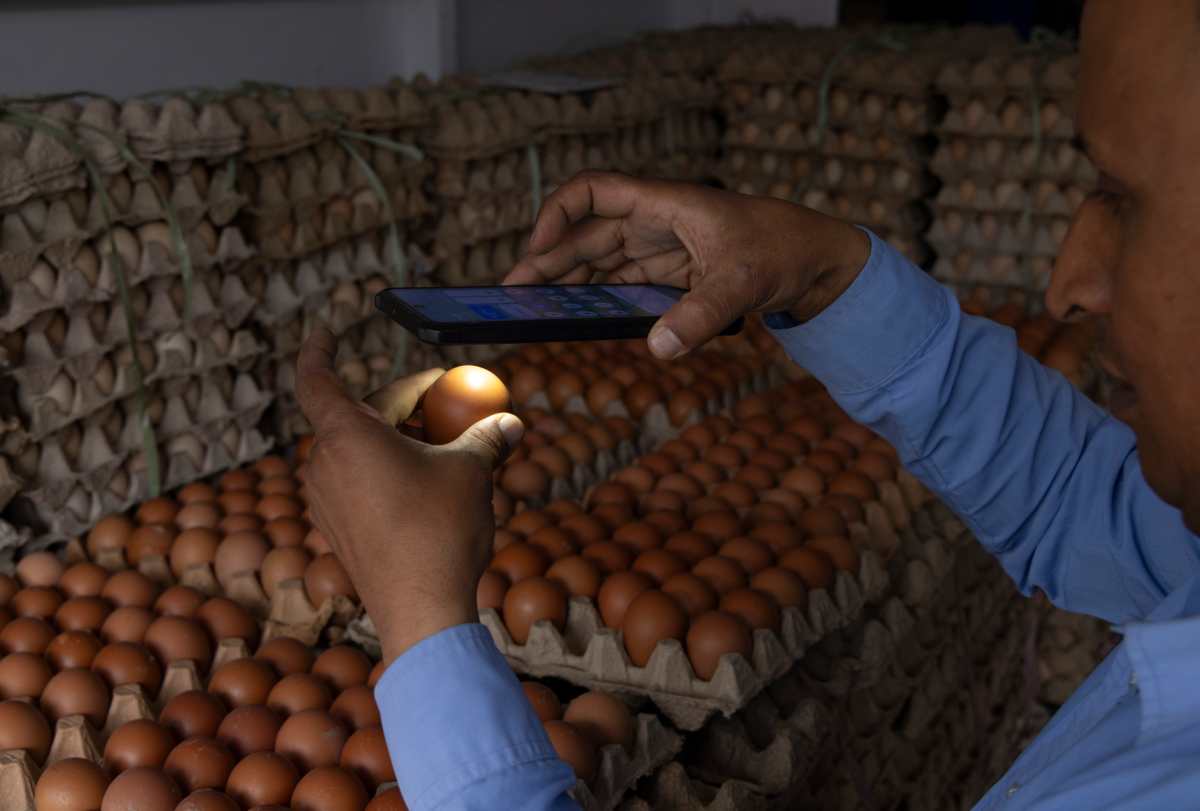 FDA retira más de 19 millones de huevos por posible salmonela: cómo identificar los productos afectados