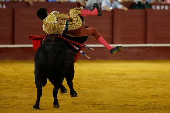 MÁLAGA, 22/08/2026.- El diestro David de Miranda sufre una cogida en el segundo de los de su lote, durante el festejo correspondiente a la Feria de Málaga celebrado este sábado en la Plaza de la Malagueta. EFE/Jorge Zapata