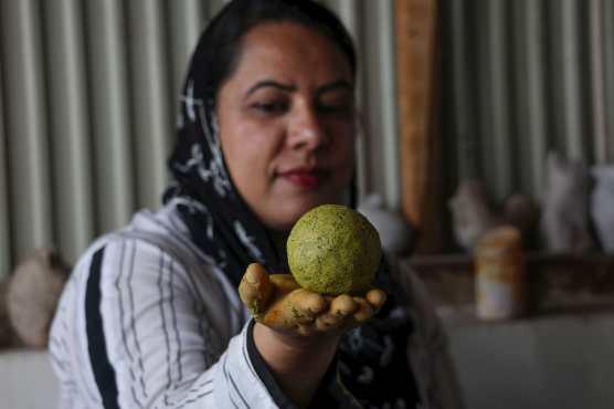 SRINAGAR (India), 22/08/2026.- Simran Irshad, a Kashmiri woman artisan, displays a Christmas ball made from dried aquatic weeds and grass collected from Dal Lake at her workshop in Srinagar, the summer capital of Indian Kashmir, India, 22 August 2026. She is the first person in Kashmir to use waste grass collected from the Dal Lake as an innovation, bringing an eco-friendly dimension to Kashmirs traditional papier-mâché craft, turning lake waste into a useful raw material while promoting environmental awareness and consciousness. EFE/EPA/FAROOQ KHAN