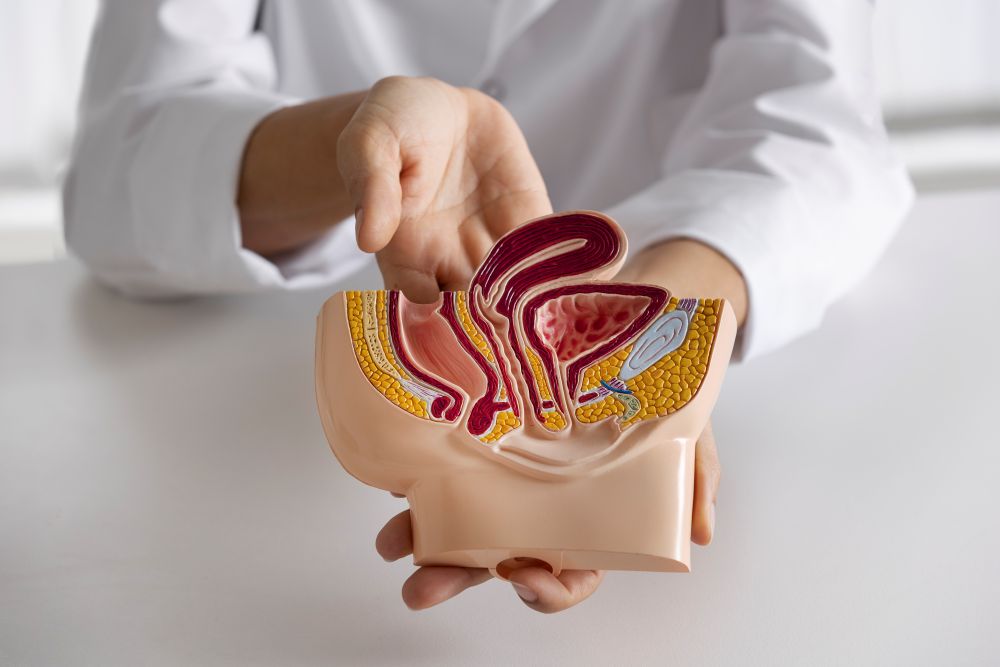 El cáncer de próstata puede tener un buen pronóstico si se detecta a tiempo. (Foto Prensa Libre: Freepik)
