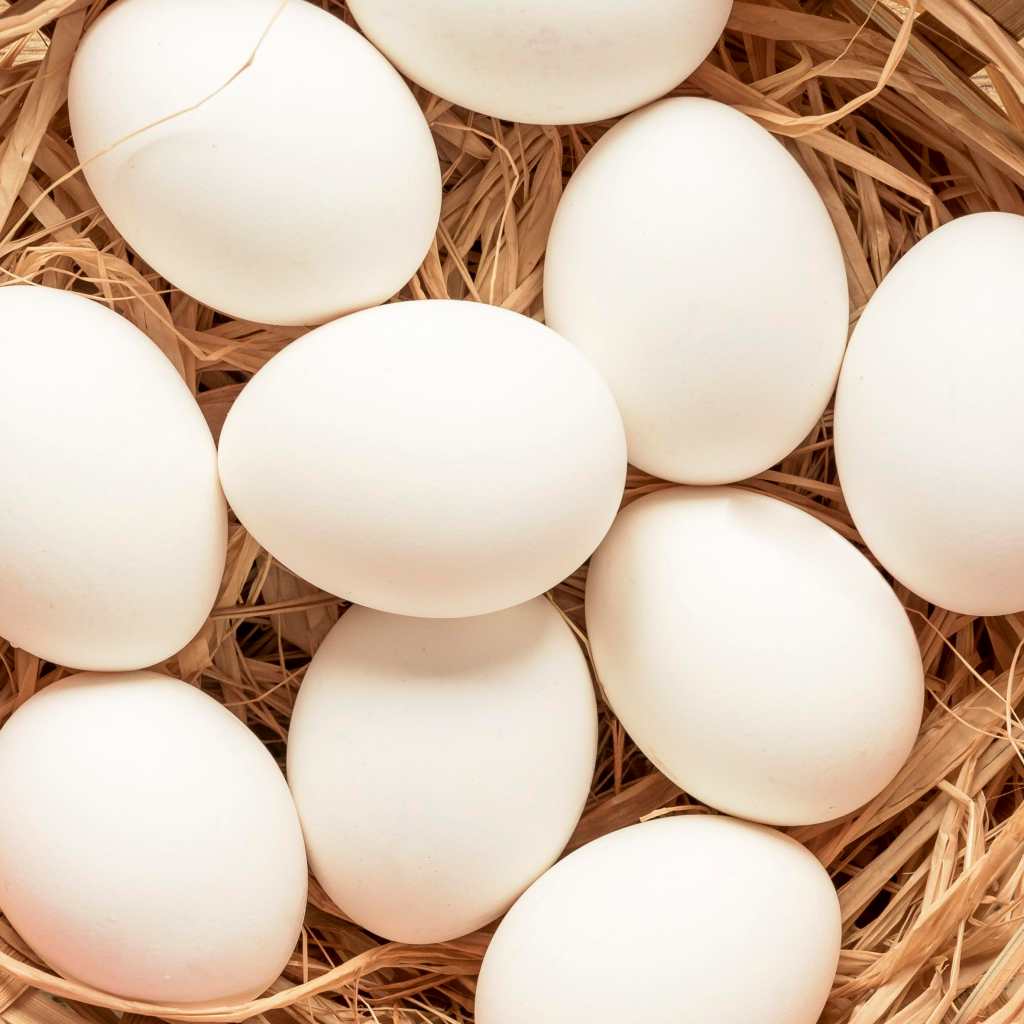 Los huevos son una buena fuente de proteína animal y son económicos. (Foto Prensa Libre: Freepik)