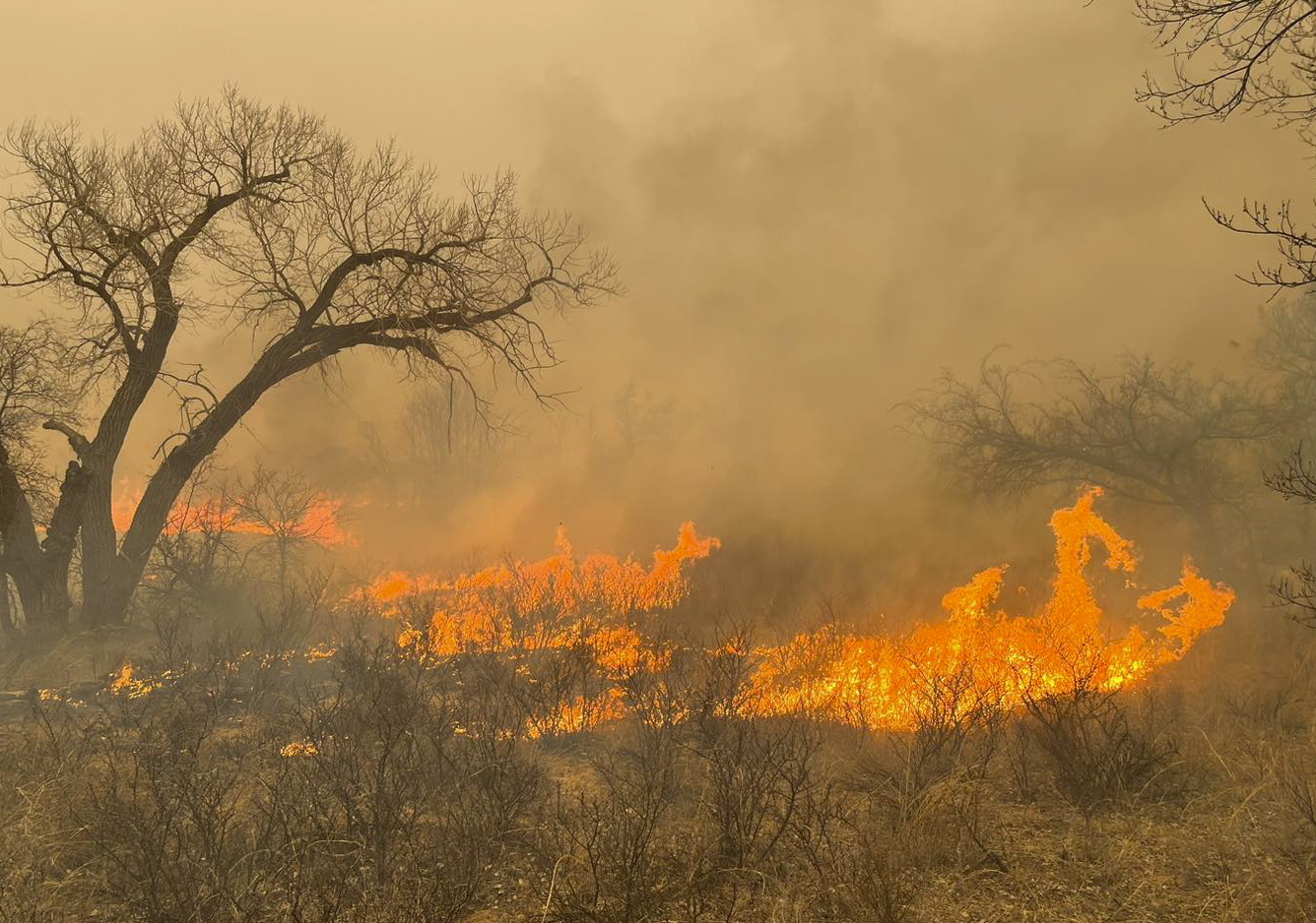 Incendio forestal en Texas