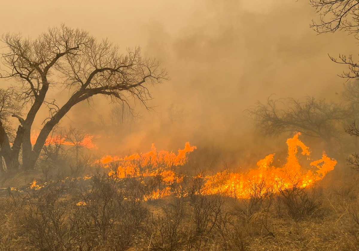 Incendio forestal en Texas