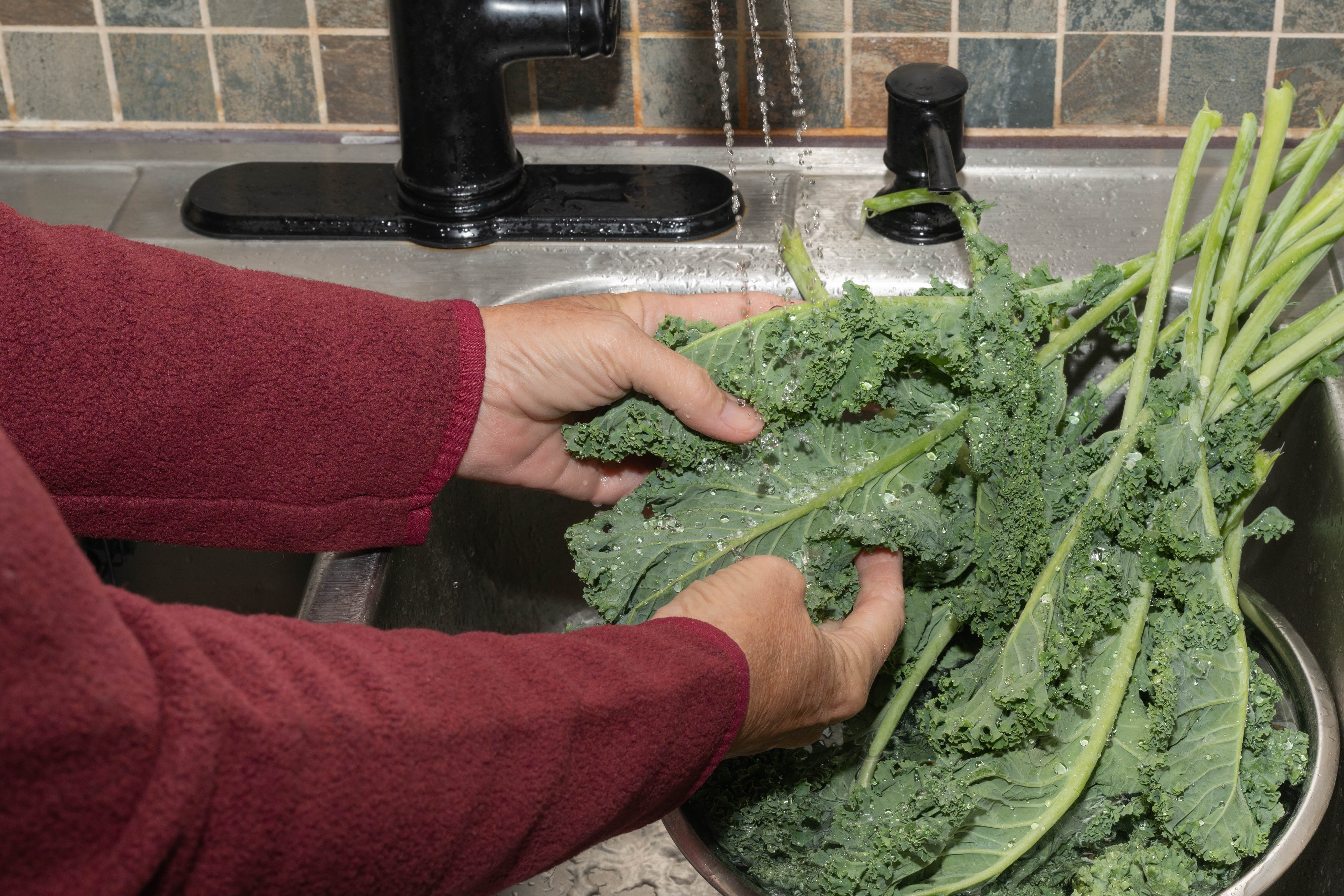 Lechuga ciclosporiasis