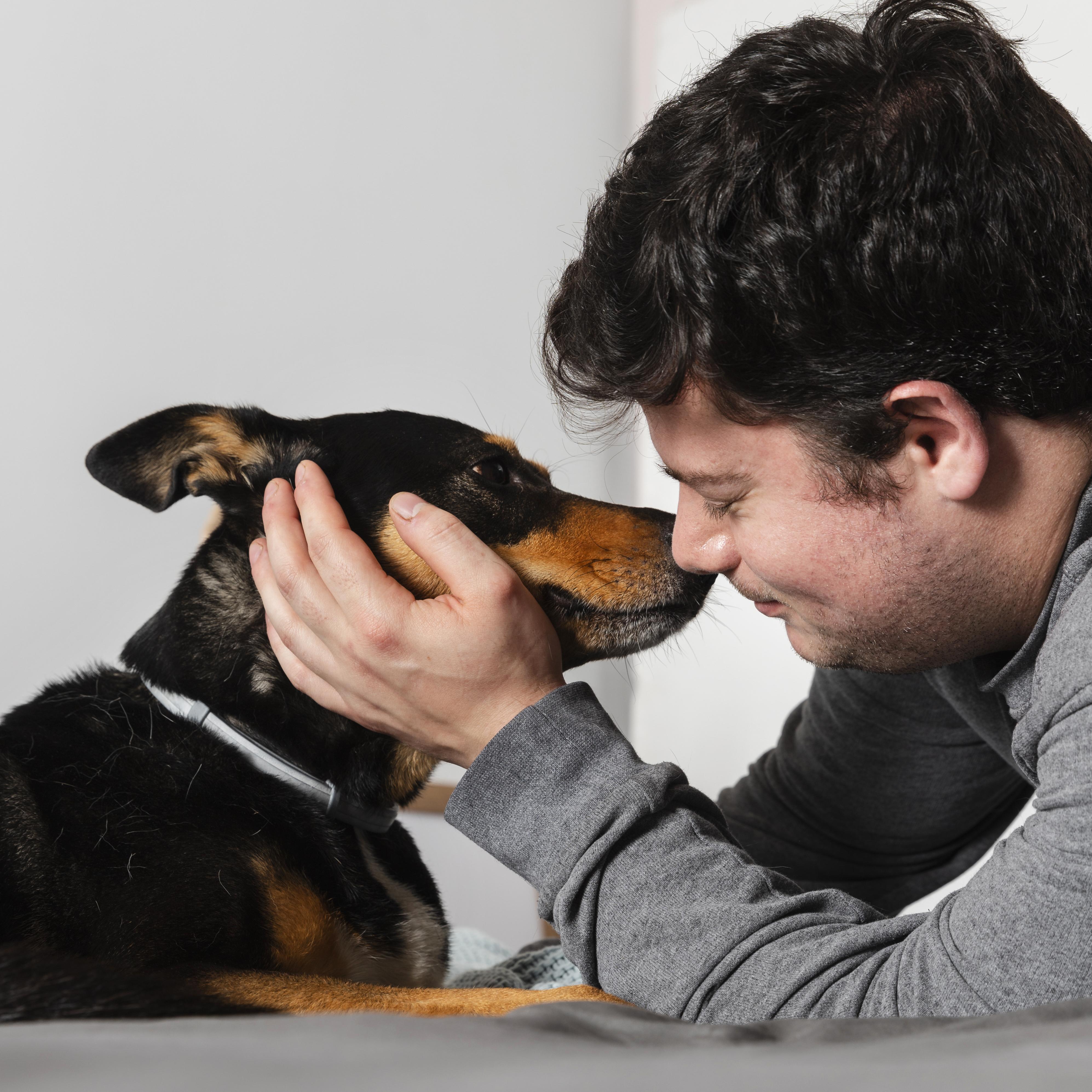 Los perros pueden distinguir expresiones humanas de alegría, miedo y tristeza, según estudio