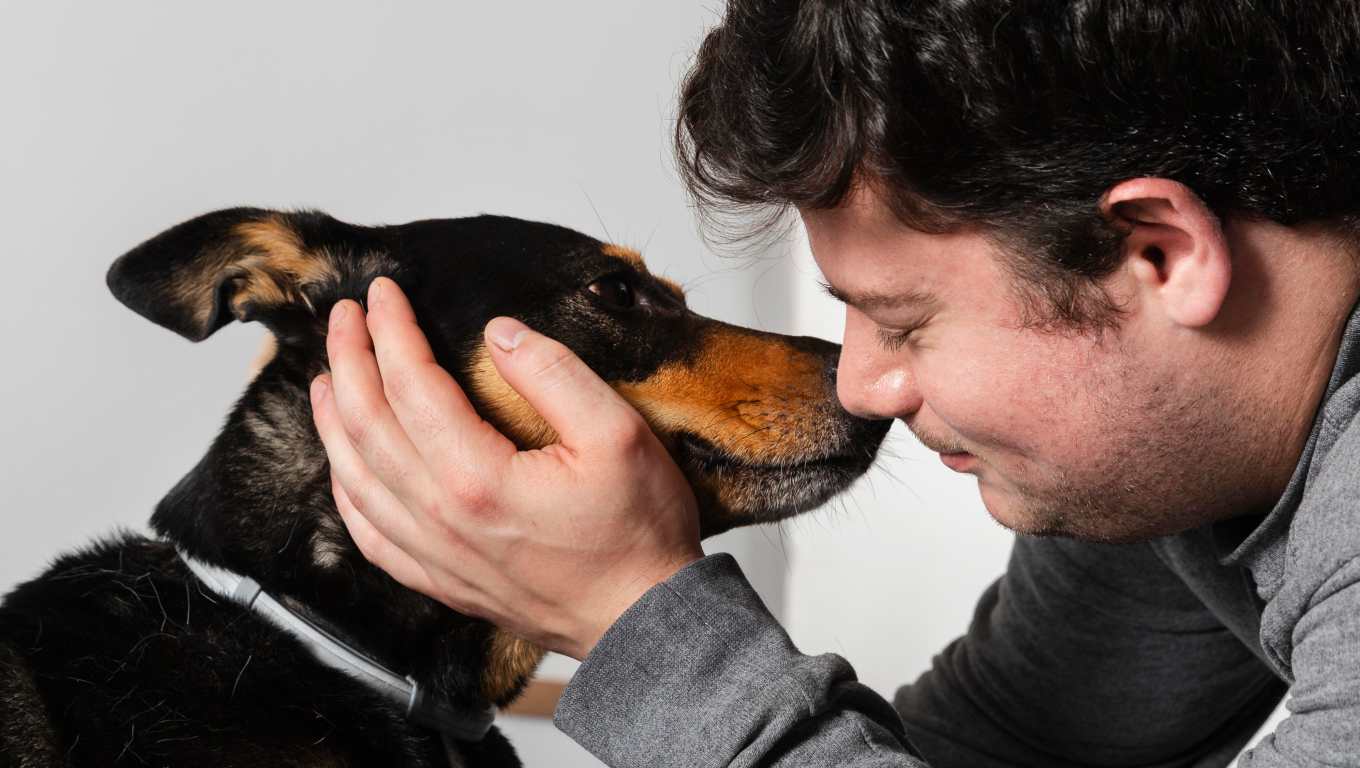 Los perros pueden distinguir expresiones humanas de alegría, miedo y tristeza, según estudio