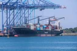 EMPRESA PORTUARIA QUETZAL, LEY DE PUERTOS Y AEROPUERTOS. Se visit las instalaciones de la Empresa Portuaria Quetzal (EPQ) para documentar sus labores con los barcos, esto, para un captulo del programa Guatemala No Se Detiene de Guatevisin, en donde, se tocar el tema de la ley de puertos y aeropuertos que se encuentra en el Congreso de la Repblica. En la imagen, barcos y remolcadores en los diferentes muelles del lugar.

Juan Diego Gonzlez.  270826