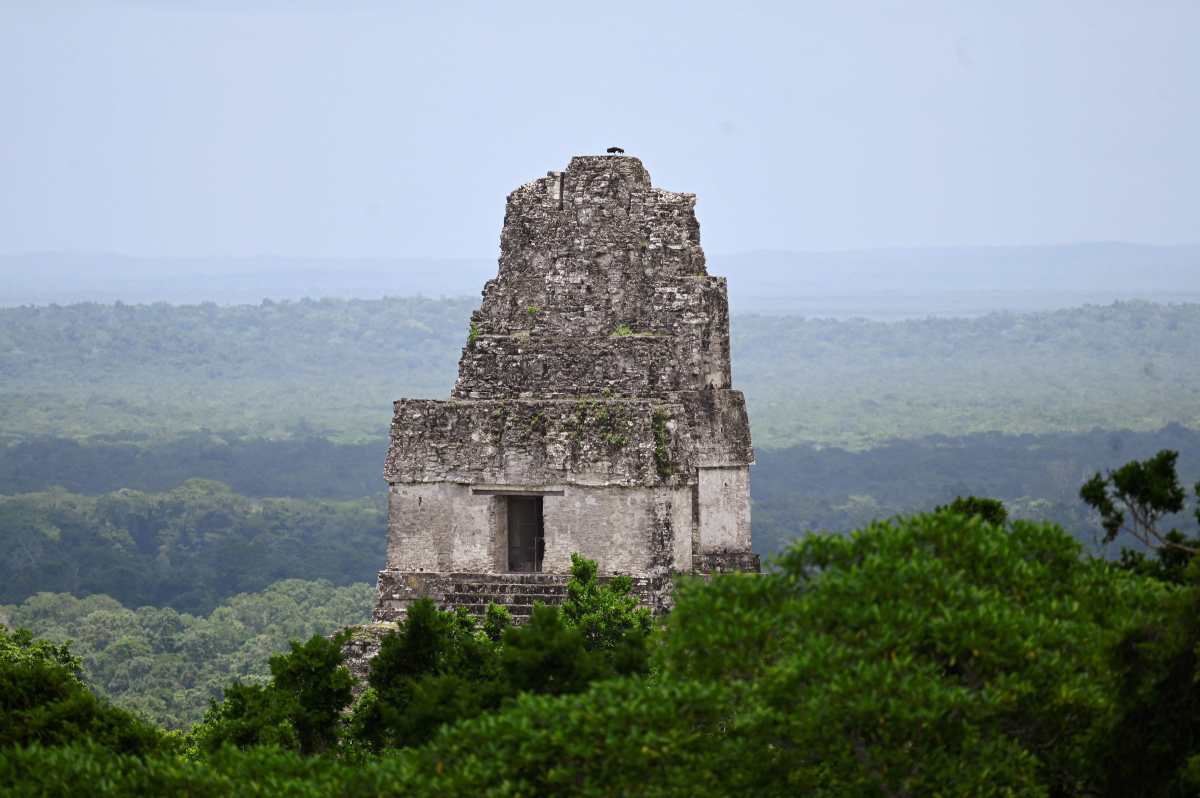 View of the Gran Jaguar (Big Jaguar) Mayan temple in the Tikal archaeological site at the Maya Biosphere in Peten, Guatemala on July 24, 2024. In the Mayan jungle of northern Guatemala, thirty leaders from the Colombian Amazon are learning and sharing with Guatemalan farmers a sustainable model to live off the forest without destroying it, which has been in place for three decades in the largest protected area of Central America. (Photo by JOHAN ORDONEZ / AFP)