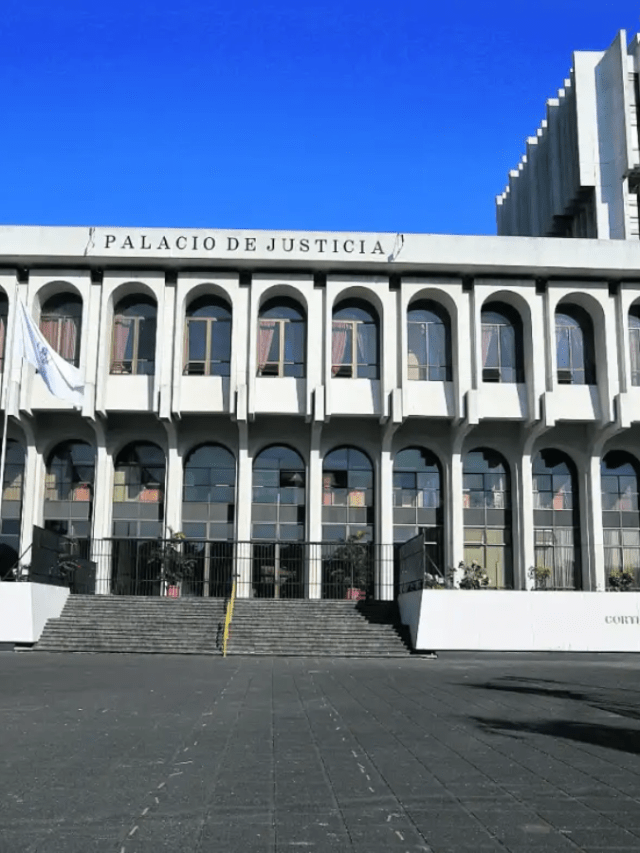 IA en el OJ: una empresa concentra 15 compras por Q1.3 millones