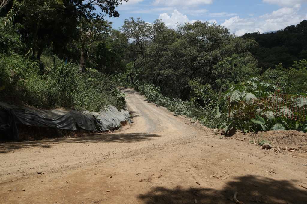 Al finalizar el falso túnel que se construye en Cejusa se observa parte de la cuenca por donde continuará el Corredor Verde, un tramo que plantea al proyecto el reto de convivir con el entorno, la flora y la fauna del sector. (Foto, Prensa Libre: Esbin García)