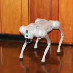 Perro robot con Inteligencia Artificial adquirido por la USAC