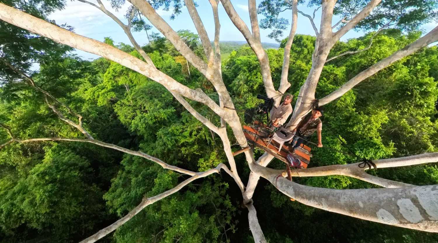 Selva Maya en Jaque
