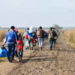 Foto de referencia. EE. UU. busca localizar en Guatemala, México y Honduras a migrantes deportados con multas pendientes para notificarles y gestionar su cobro. (Foto Prensa Libre: Shutterstock)