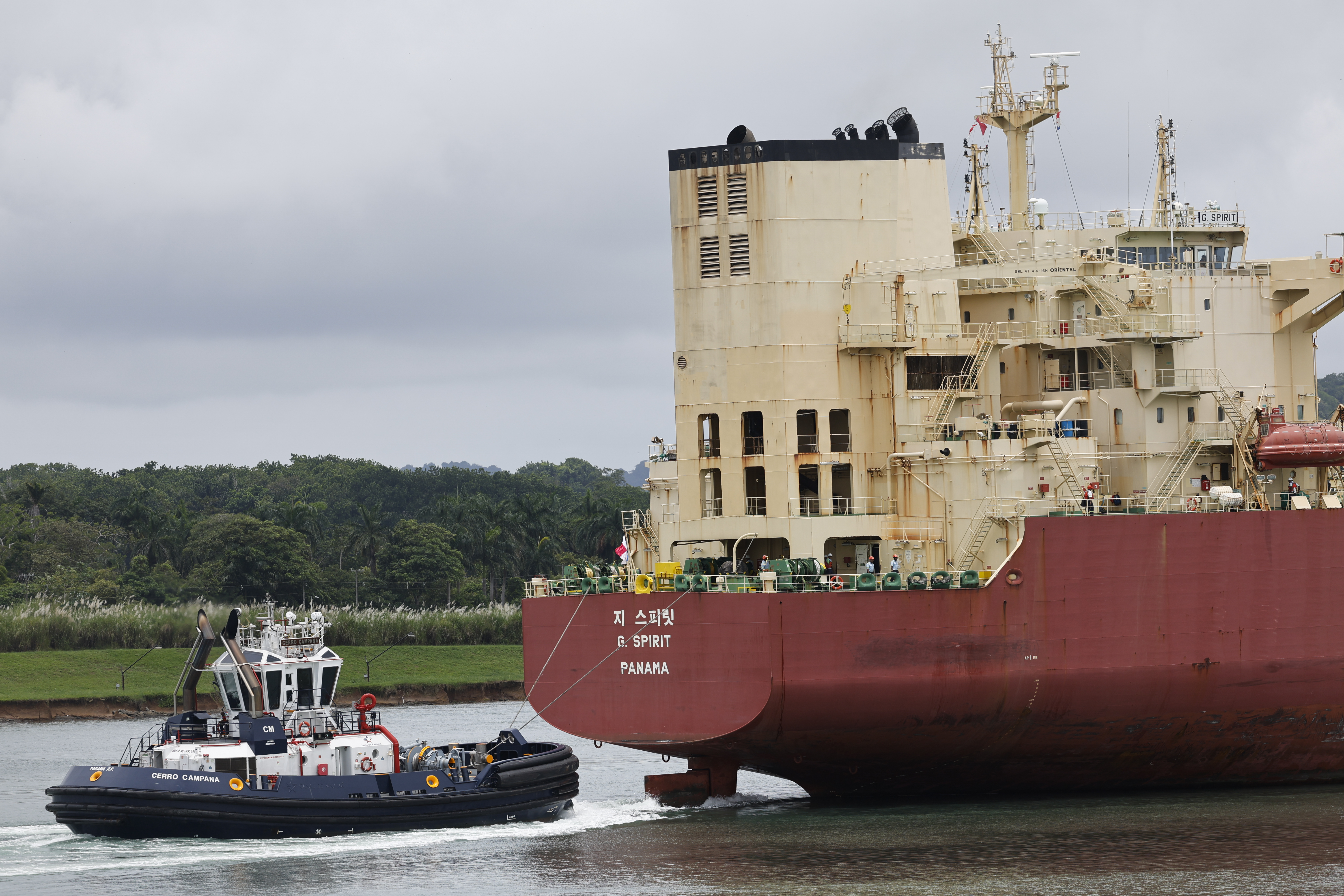 Un buque de carga navega por las esclusas de Agua Clara, en el Canal de Panamá, en Colón. La vía interoceánica restringe los tránsitos diarios de buques para ahorrar el agua dulce que le proveen dos lagos afectados por la falta de lluvias asociada con el fenómeno de El Niño. (Foto Prensa Libre: EFE)