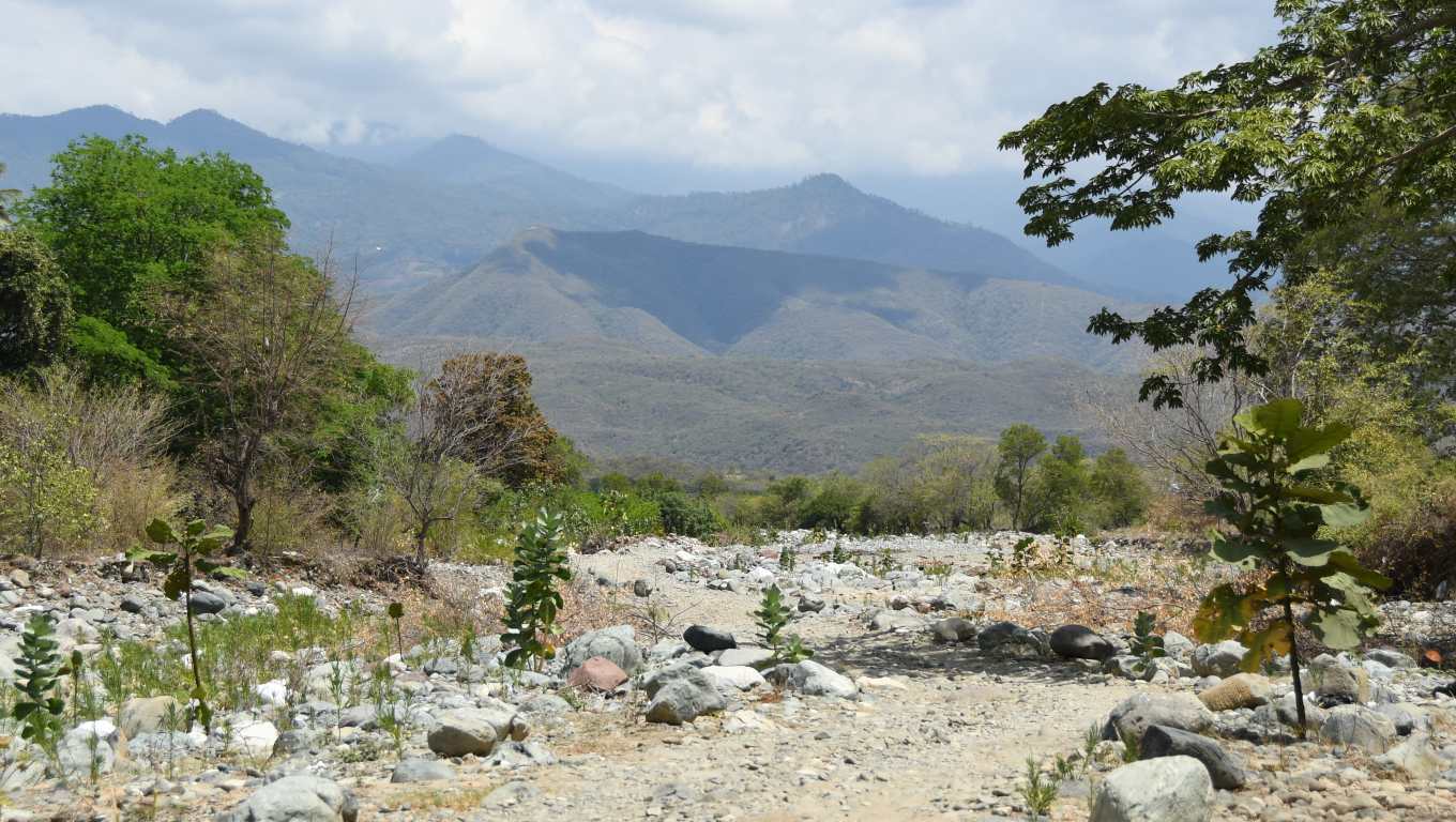 ACOMPAÑA CRÓNICA: GUATEMALA EL NIÑO EL JÍCARO (GUATEMALA), 16/09/2026.- Fotografía del 2 de septiembre de 2026 que muestra el río Las Ovejas afectado por la sequía en El Jícaro. La sequía golpea con fuerza el este de Guatemala, donde la falta prolongada de lluvias arrasó por completo con las 3,5 hectáreas de maní de Felícito Marroquín, un agricultor de 72 años. EFE/ Alex Cruz