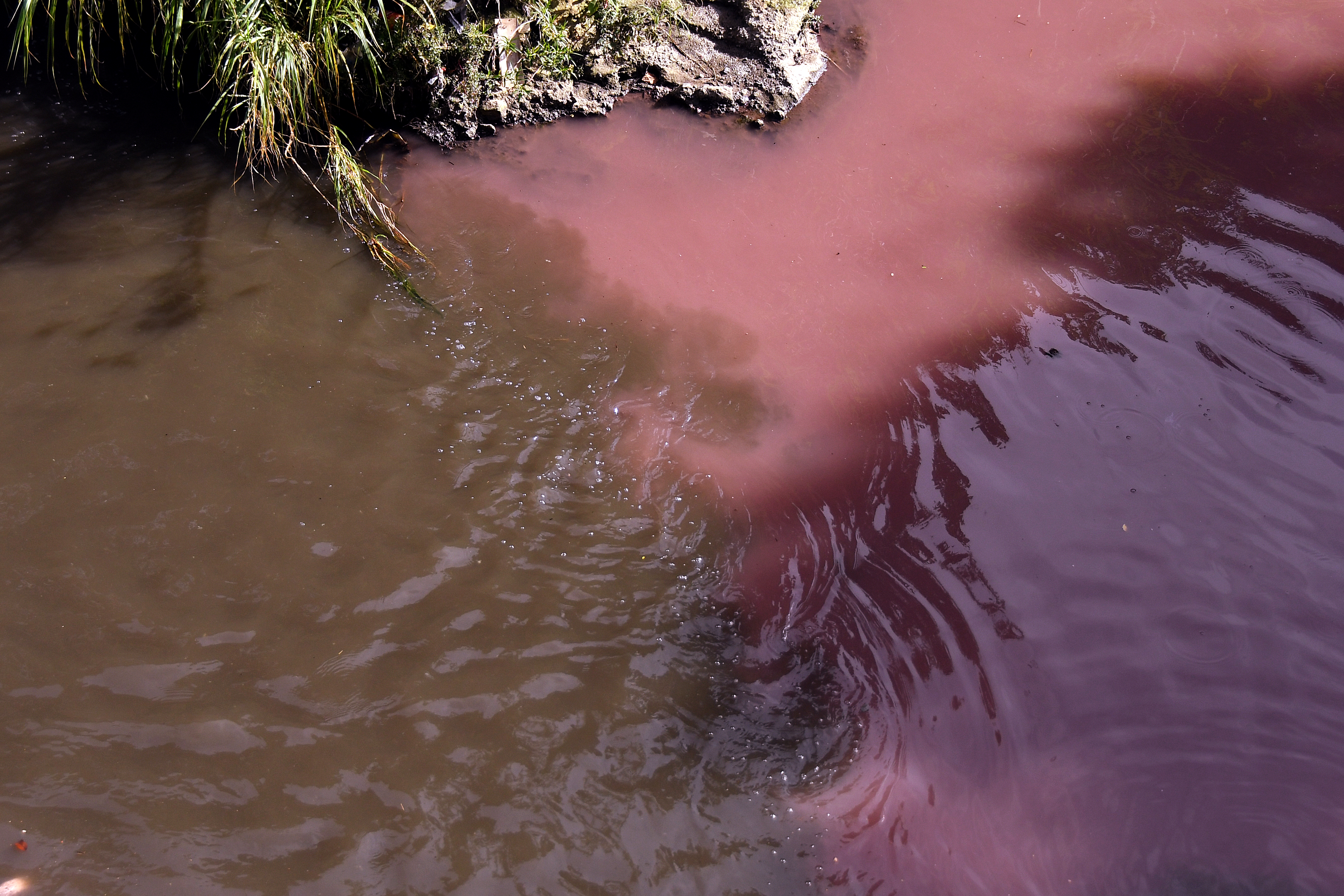 Fotografía que muestra la contaminación en el río Las Vacas este martes, en Ciudad de Guatemala (Guatemala). (Foto Prensa Libre: EFE/ Alex Cruz). 