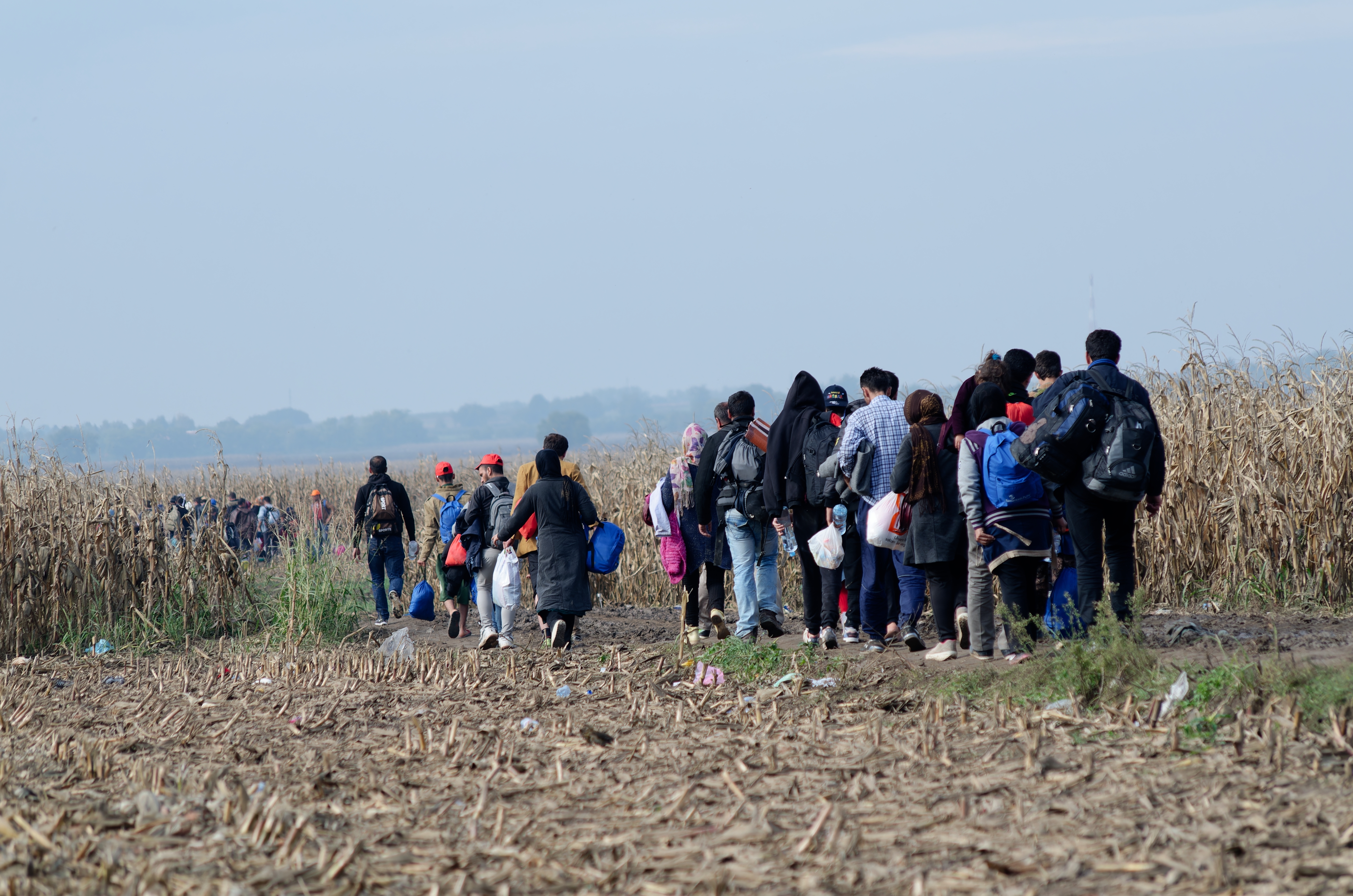 Migrantes