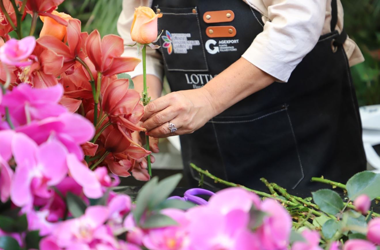 Plantas ornamentales flores y follajes Agexport V Congreso 2026 Agexport 1