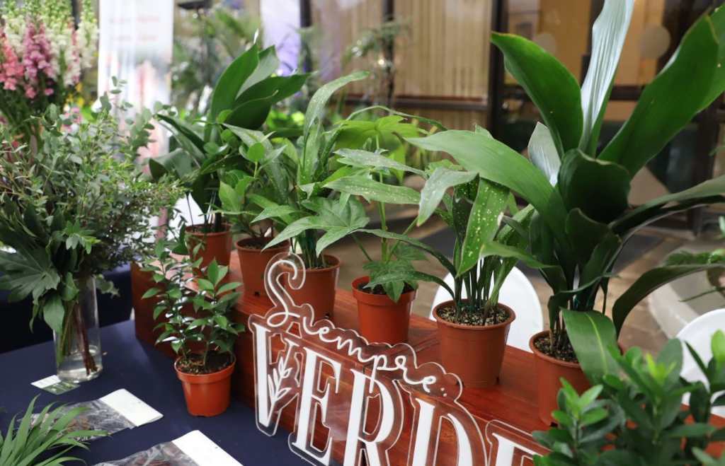 Plantas ornamentales flores y follajes Agexport V Congreso 2026 Agexport 3