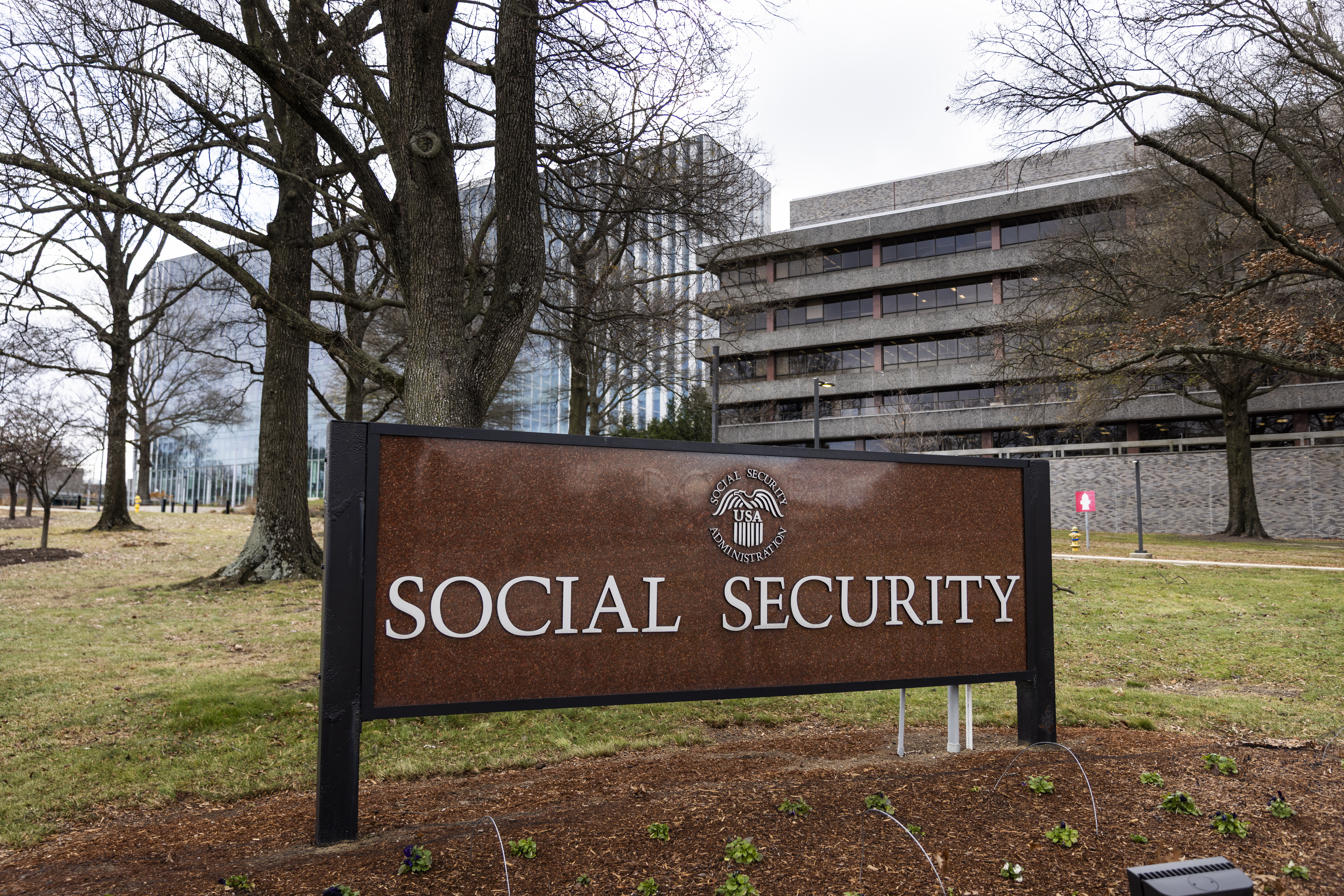 Social Security Administration Seguro Social