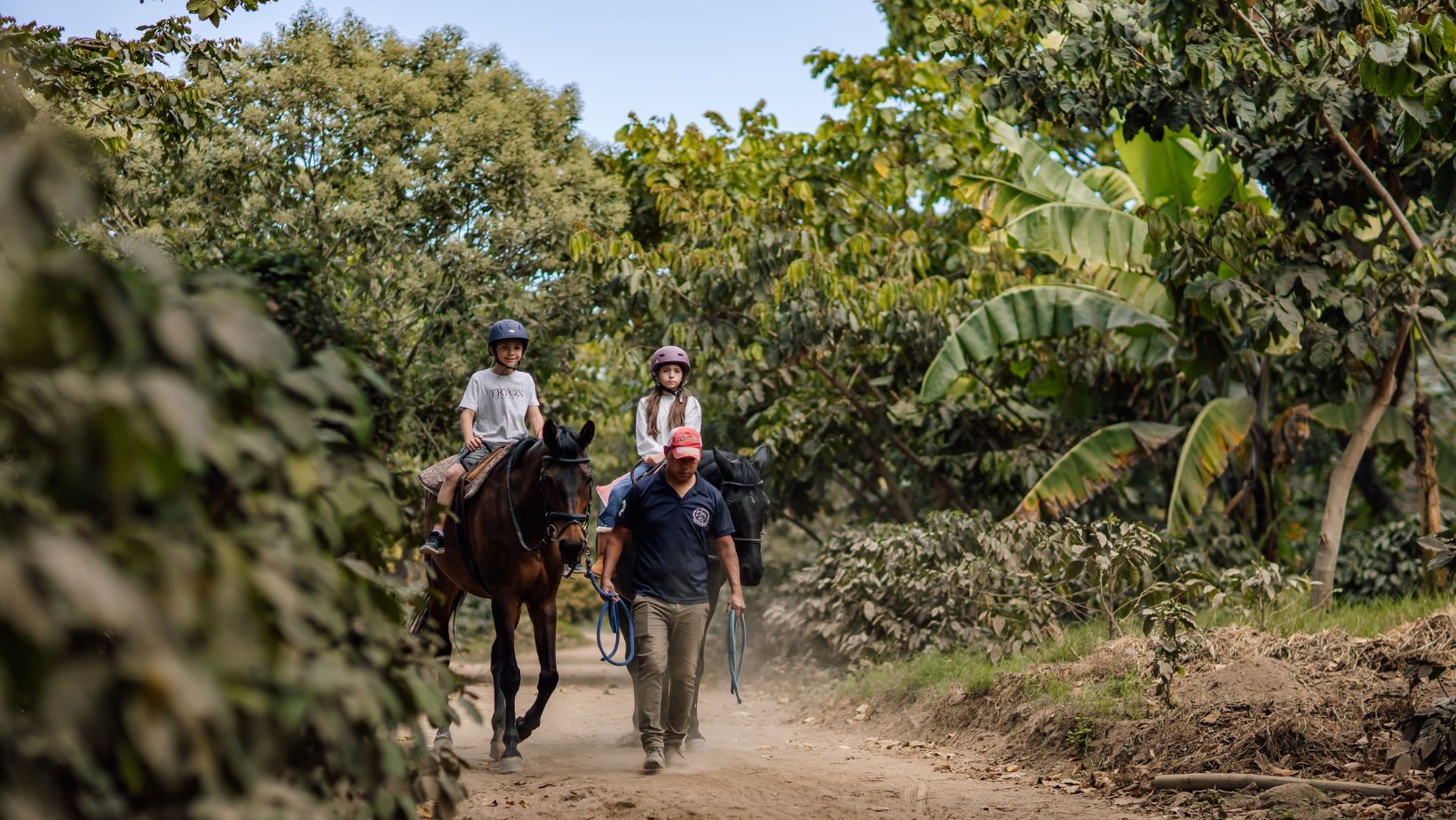Turismo gastronómico en Guatemala: tours de queso, café y aguacate para conocer su producción y disfrutar de una degustación en la naturaleza