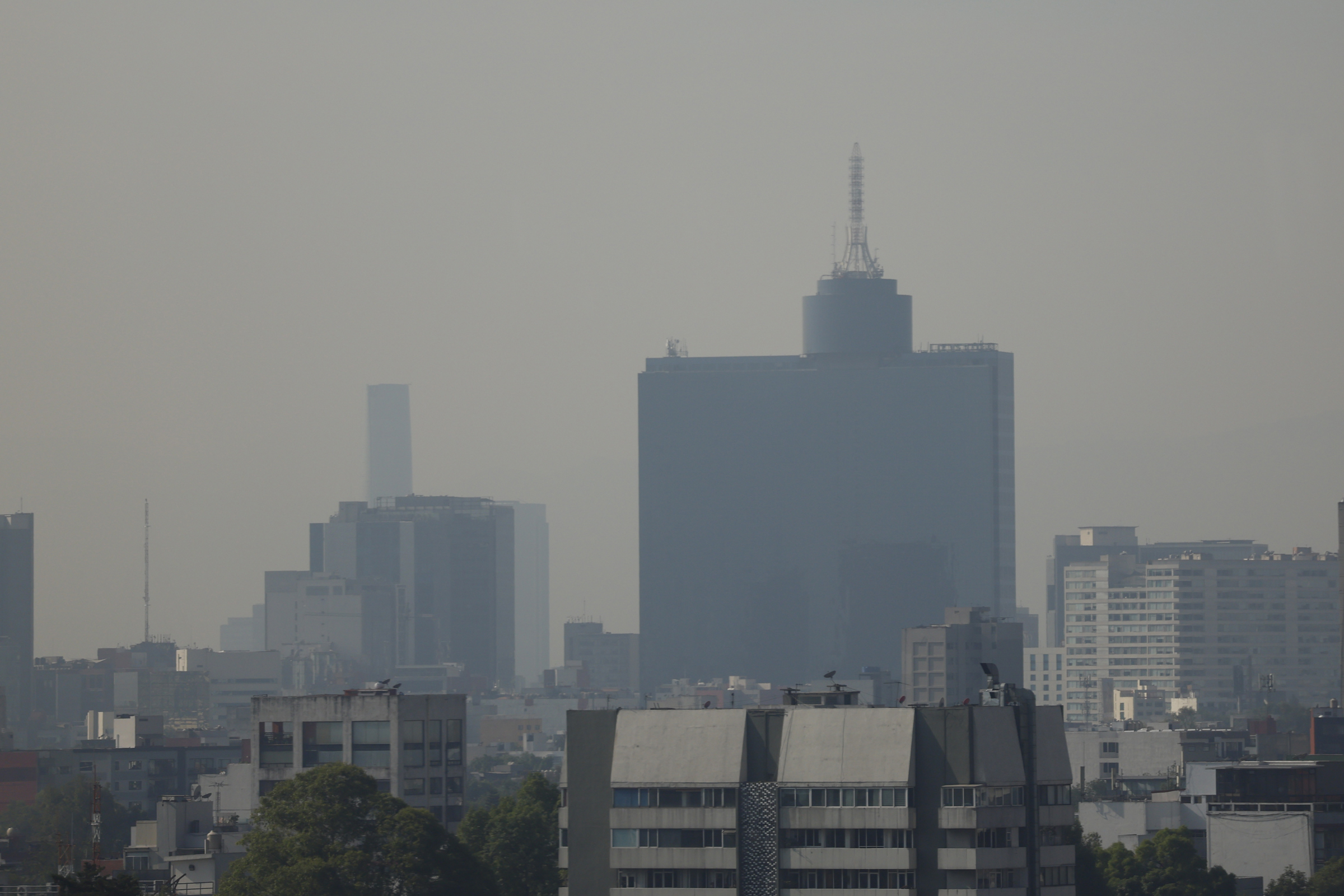 Zona Metropolitana del Valle de México