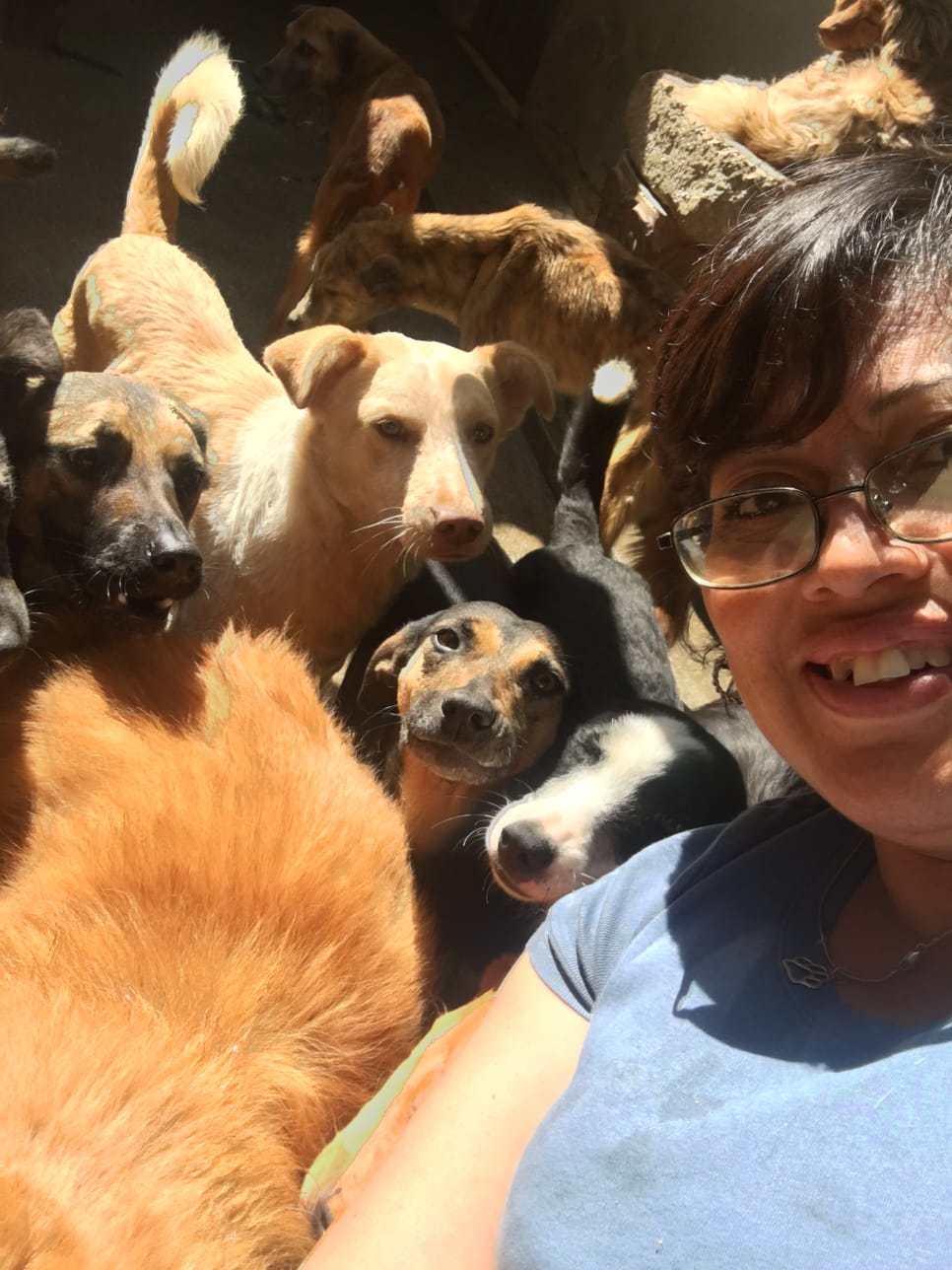 “La llamó Osa”: de rescatar una perrita herida a cuidar 59 perros en su casa de Xela