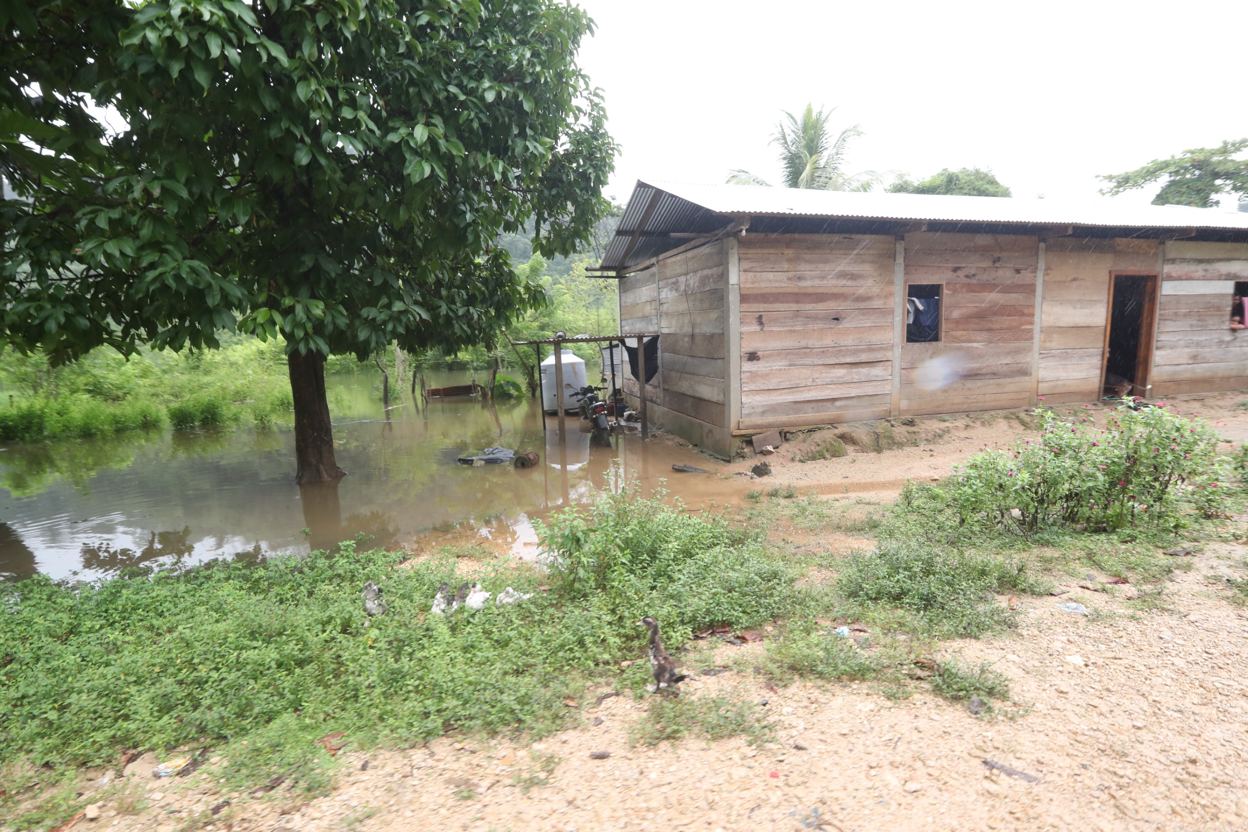 Las lluvias han provocado inundaciones en el caserío Mucbilhá, en Fray Bartolomé de las Casas, Alta Verapaz. El déficit de lluvia acumulado durante el año, sin embargo, persiste en distintas regiones del país. (Prensa Libre: Moisés Xec)