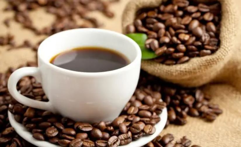 café taza de café y en grano cosecha